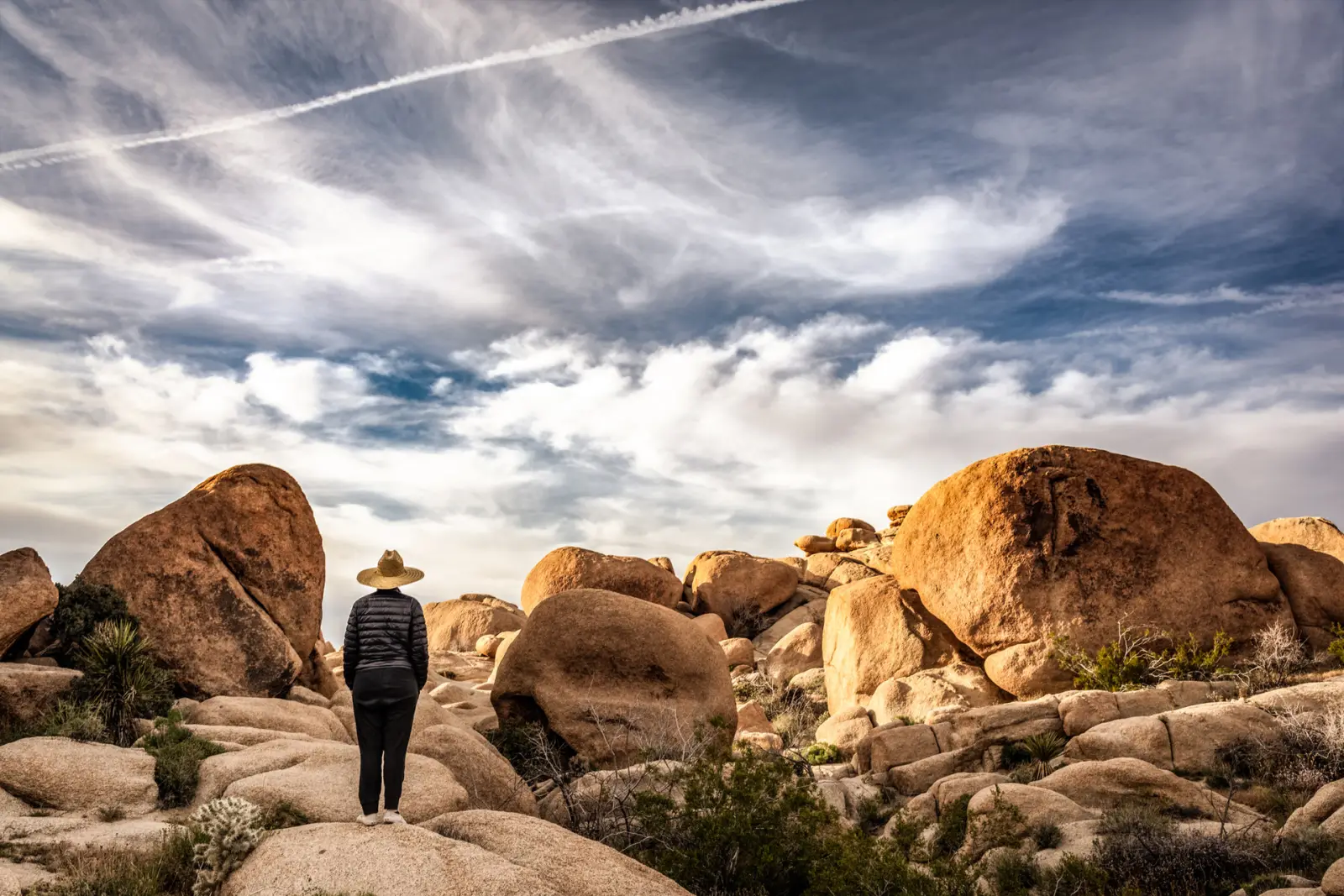 Figure standing among desert boulders under dramatic sky, Joshua Tree